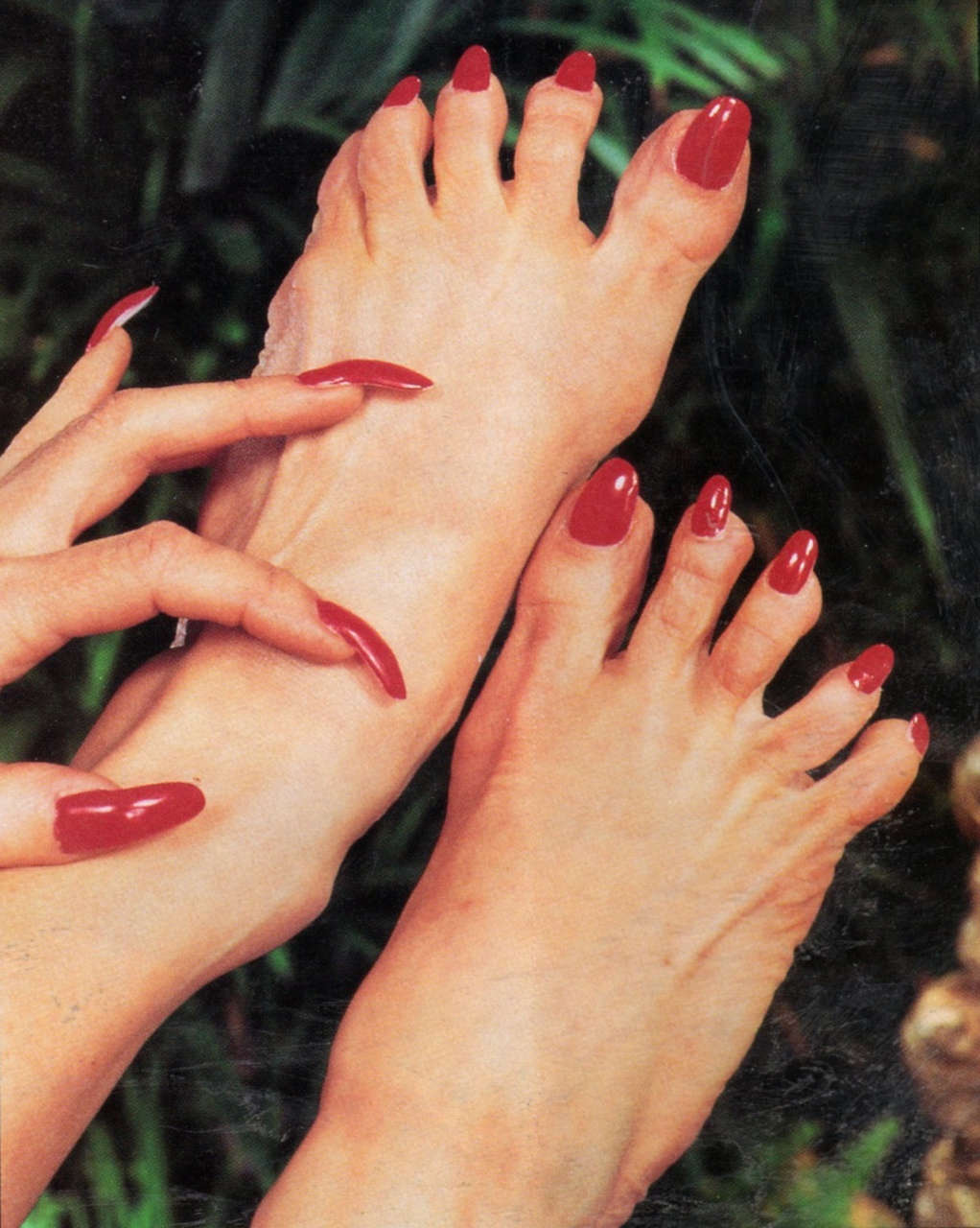 Toni Alessandrini Feet
