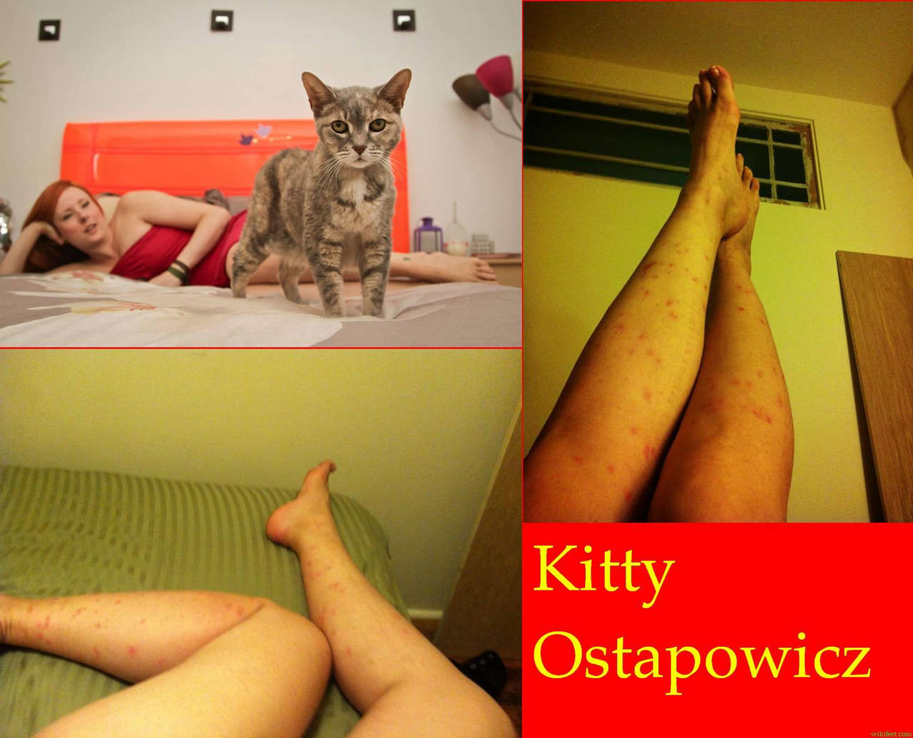 Kitty Ostapowicz Feet