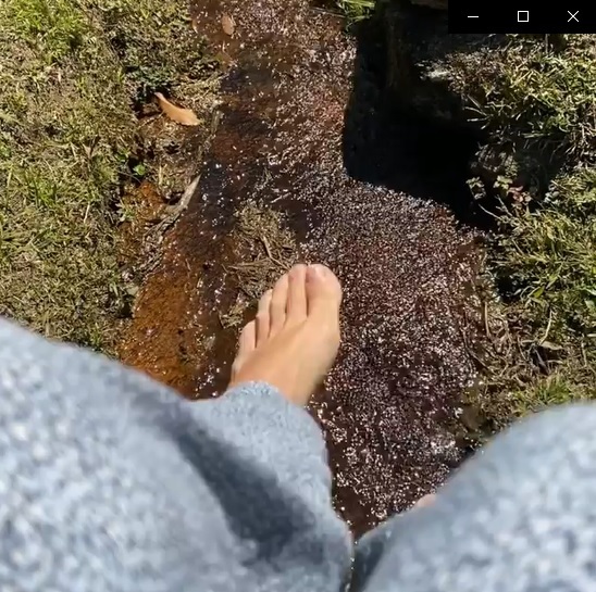 Poliana Abritta Feet