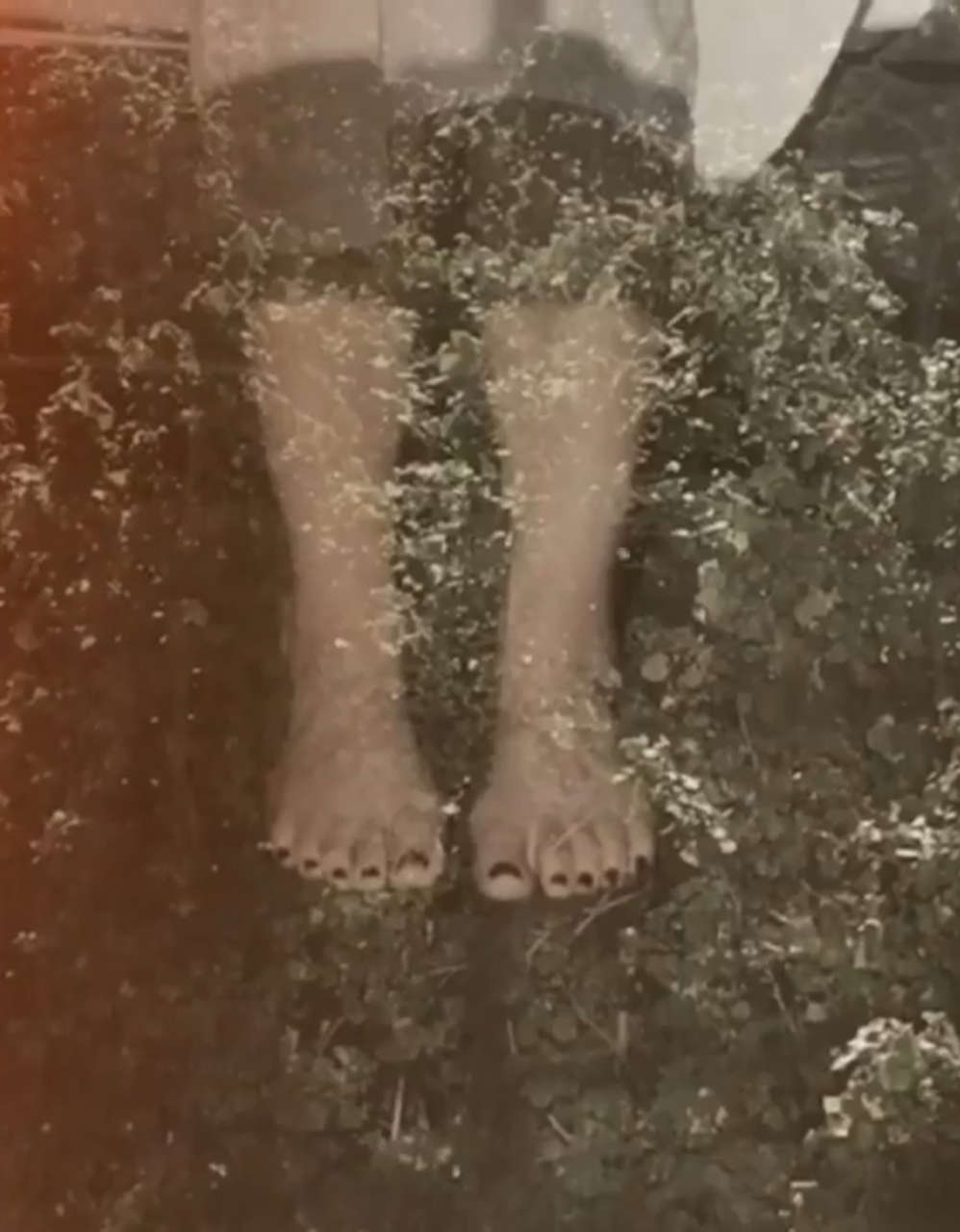 Barbara Paz Feet
