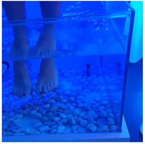 Sandra Polop Feet