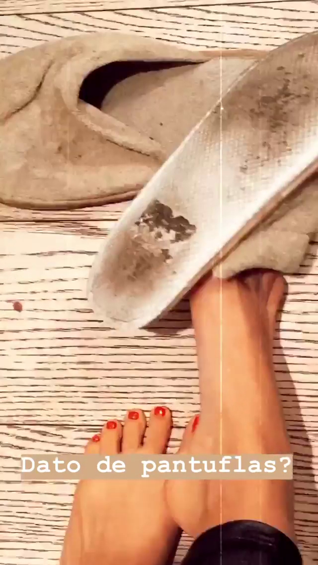 Daniela Castro Feet