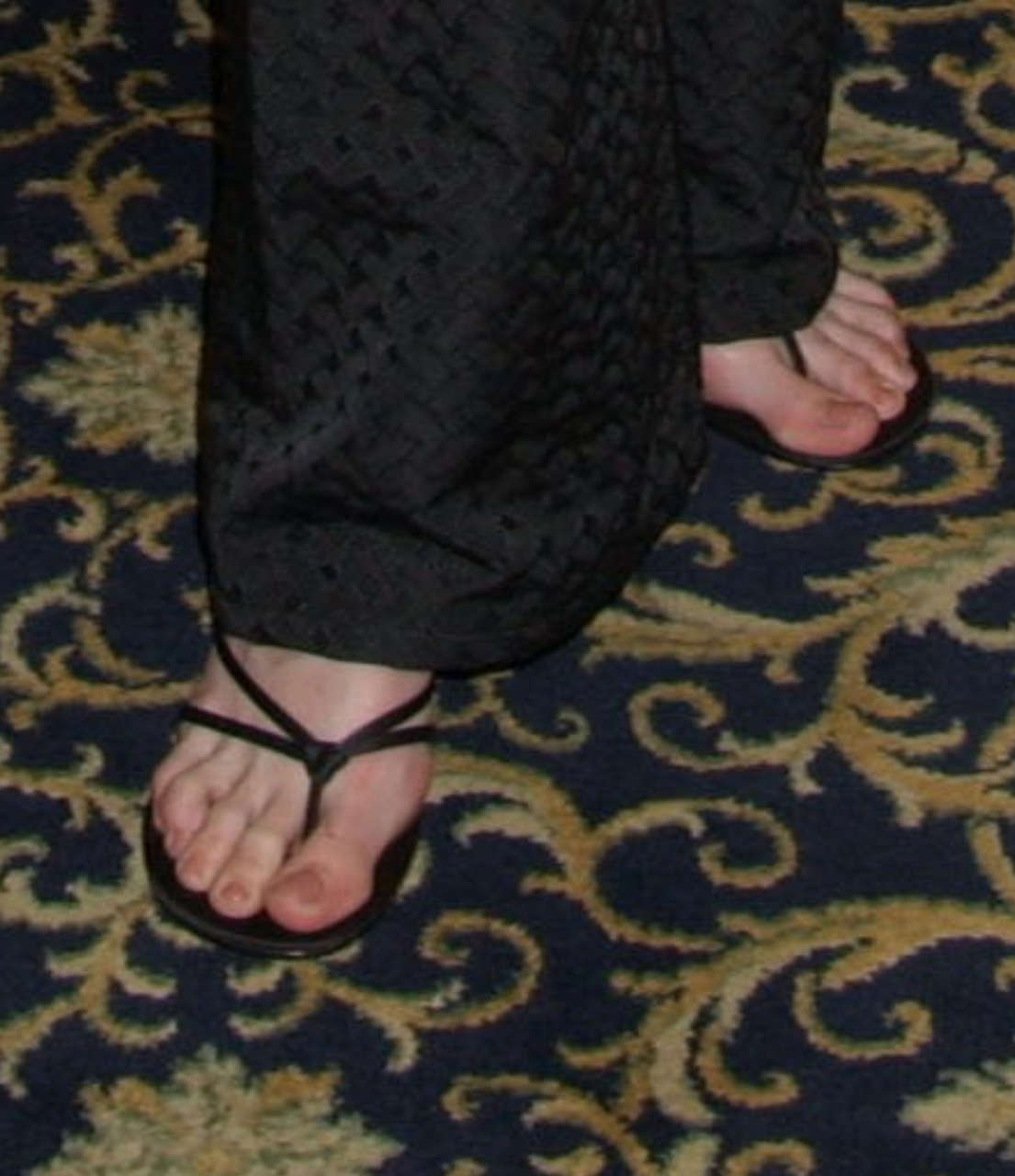 Sarah Wayne Callies Feet