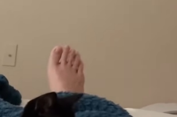 Hikaru Shida Feet