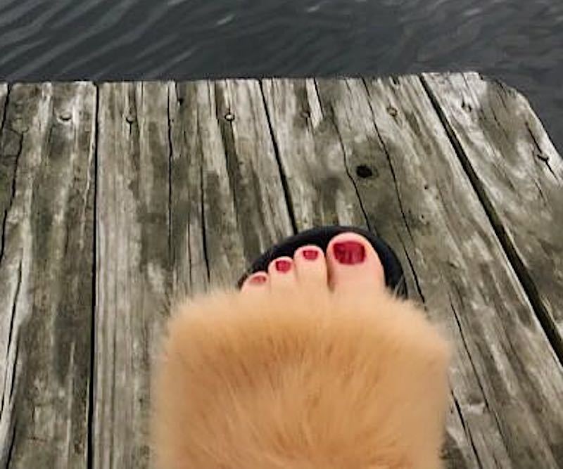 Alison Viktorin Feet