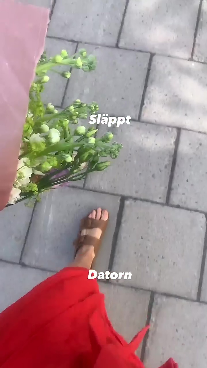Parisa Amiri Feet