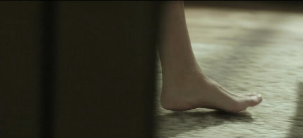 Sidse Babett Knudsen Feet
