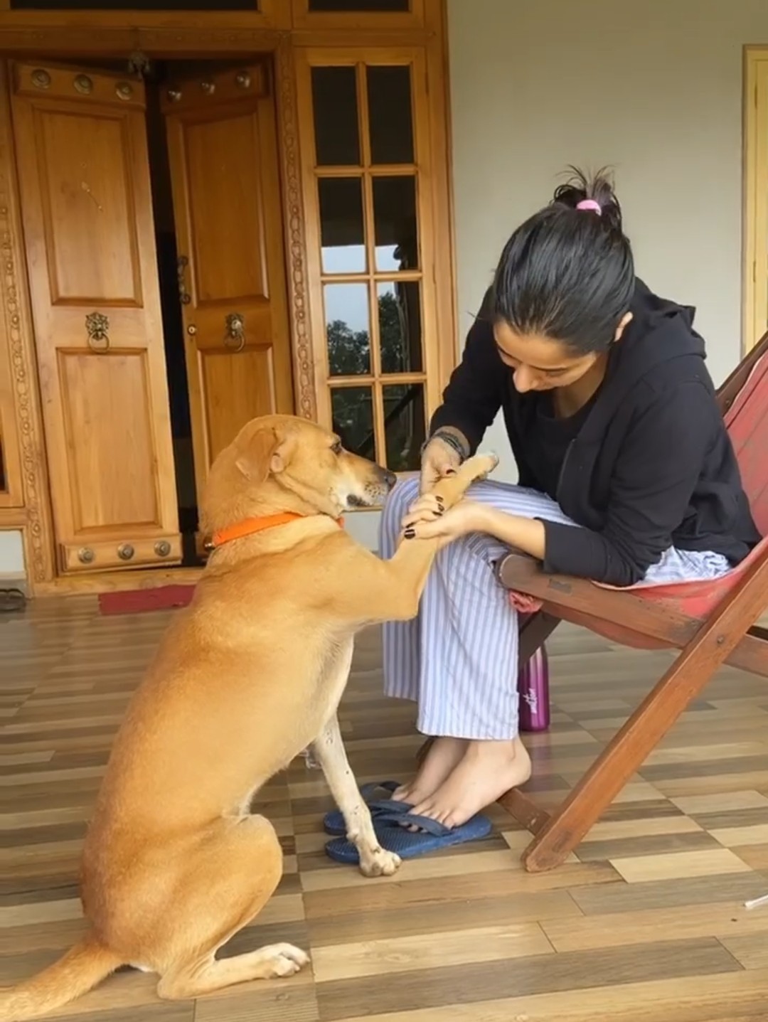 Ashika Ranganath Feet