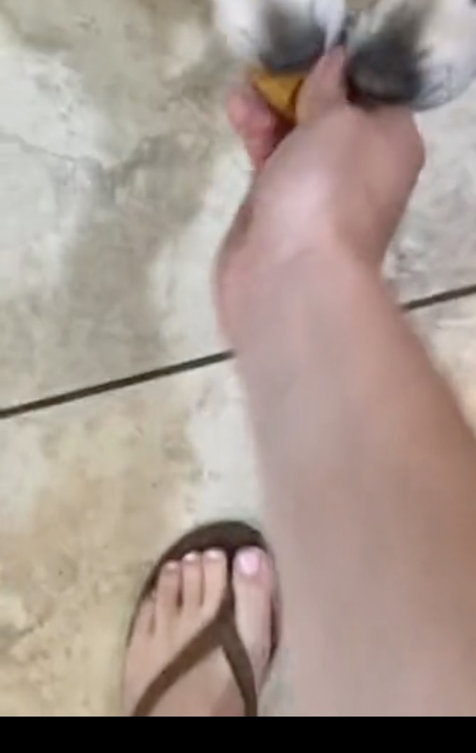 Susi Vidal Feet