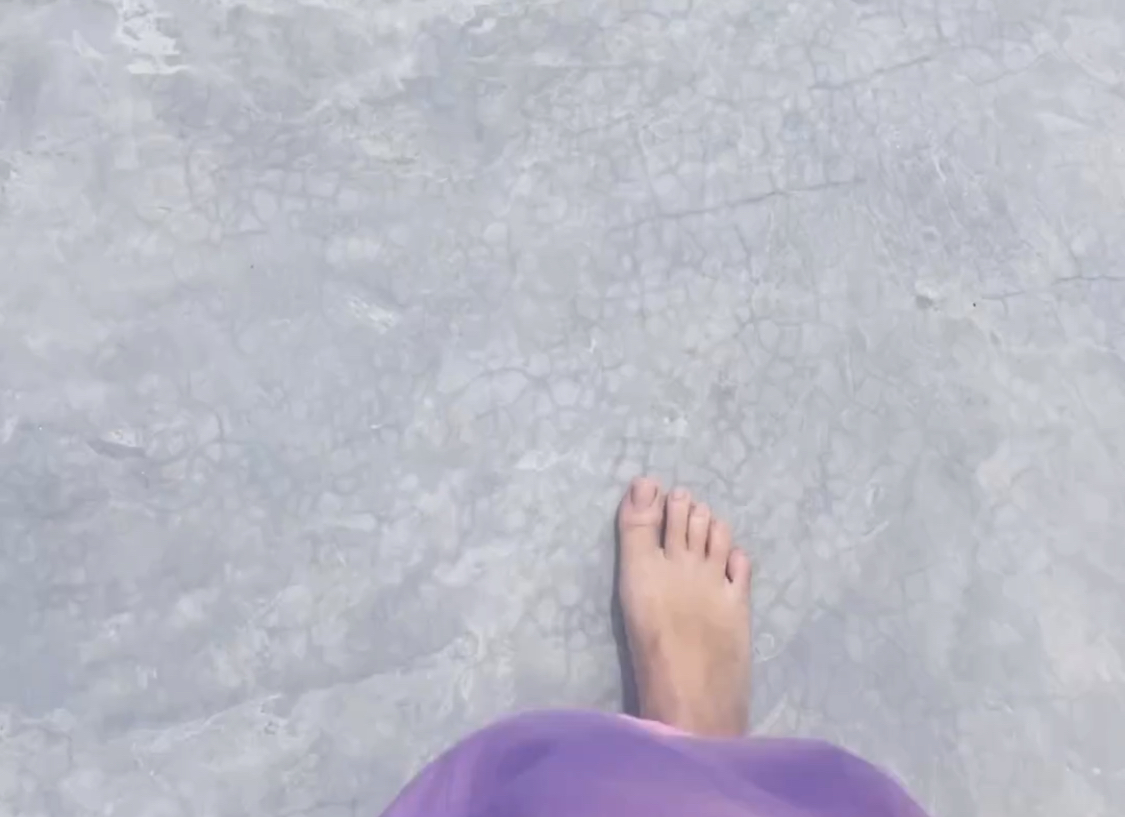 Alexia Barnechea Feet